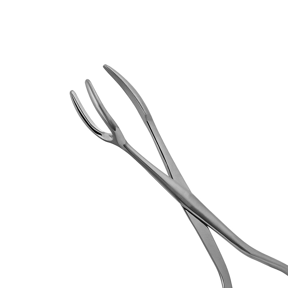 Sterilizing Forceps with 3 Prongs